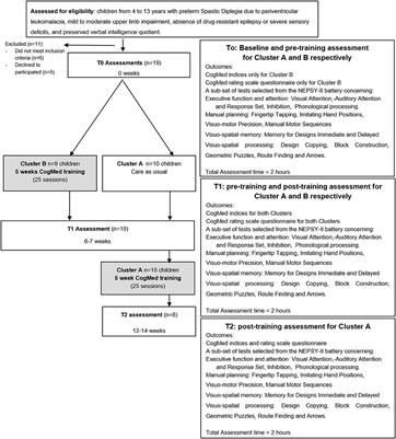 Adaptive Working Memory Training Can Improve Executive Functioning and Visuo-Spatial Skills in Children With Pre-term Spastic Diplegia